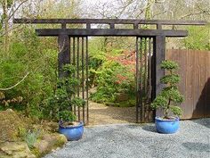 an outdoor garden with trees and plants in blue pots next to a wooden gate that leads into the yard