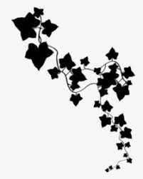 an abstract black and white image of flowers on a vine with leaves blowing in the wind