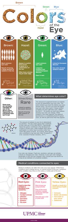 an info sheet describing the different types of eyeglasses and how they are used