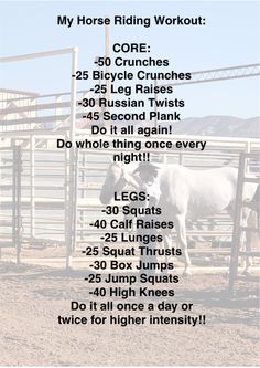 a horse is standing in an enclosure with the words, my horse riding workout