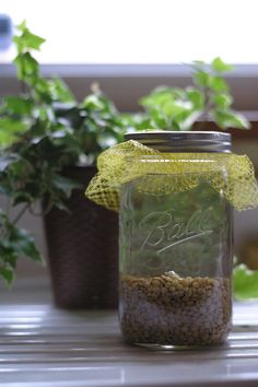 a jar filled with lots of dirt next to a potted plant