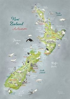 an illustrated map of new zealand with all the different animals and places on it's side