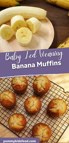 BLWrecipes 
BLWfoods Infant Banana Muffins, Blw Banana Oat Muffins, Homemade Baby Muffins, Blw Recipes With Banana, Baby Muffin Recipe Led Weaning, Blw Hamburger, Baby Friendly Banana Muffins, Banana Blw Recipe, Blw Mini Muffins