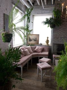 a living room filled with lots of plants and furniture