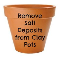 a clay pot with the words remove salt deposits from clay pots