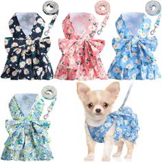 four different styles of small dogs wearing dresses