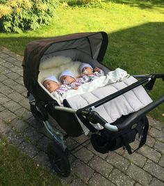 two baby dolls in a stroller on the ground next to some green grass and bushes