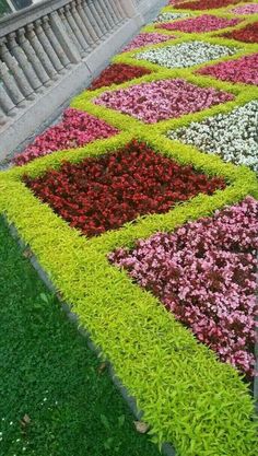 colorful flowers are laid out on the grass