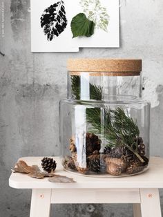 a glass jar filled with pine cones on top of a wooden table next to a wall