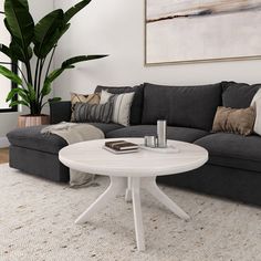 a living room with a couch, coffee table and potted plant