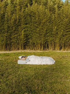 a person laying on top of a bed in the middle of a grass covered field