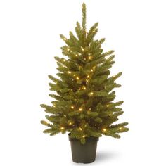 a potted christmas tree with lights on it