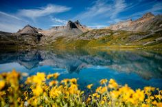 a mountain lake surrounded by yellow flowers and blue skies with clouds in the sky above it