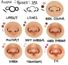 the different nose shapes and their names are shown in this graphic diagram, which shows how to