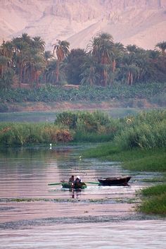 two people in a small boat on a river with palm trees and mountains in the background