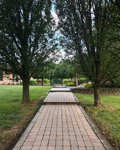 the walkway is lined with benches and trees