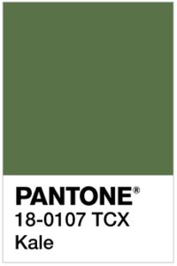 pantone's blue color is shown with the words, 17 - 048 tcx