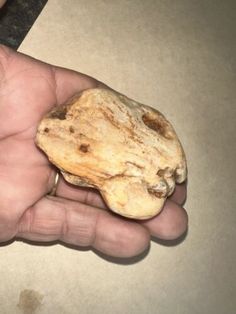 a person holding a rock in their hand