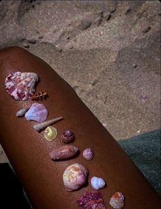 a close up of a hot dog with shells on it