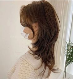 Long Hush Haircut, Asian Medium Length Hair, Wolf Tail Haircut, Medium Length Haircut Asian, Hush Cut With Bangs, Short Curtain Bangs