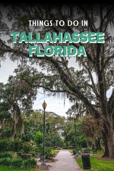 Things to do in Tallahassee Fl State Capital, Sailing Adventures, Adventure Bucket List, City Restaurants, Road Trip Planning, Cultural Experience