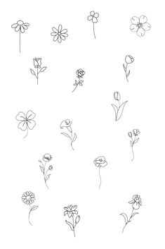 various flowers drawn in black and white on a white background, each with one single flower