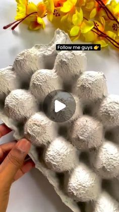 the video shows how to make an egg carton out of concrete and paper machs