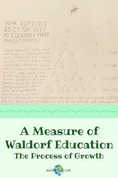 a measure of waldorf education the process of growth