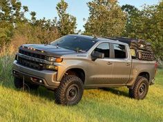 a silver truck parked on top of a lush green field with trees in the background