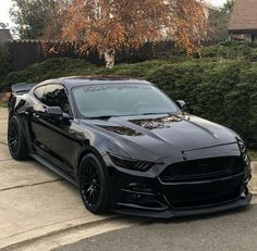 a black mustang is parked on the side of the road in front of some bushes