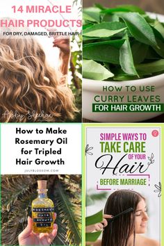 hair strand extensions Rosemary Hair Growth, Glowing Hair, Before Marriage, Rosemary Oil, Brittle Hair, Curry Leaves