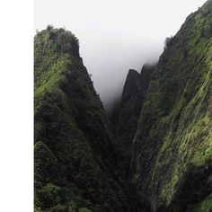 the mountains are covered in thick green vegetation