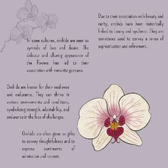 an image of a flower on a purple background with the words, flowers and their meanings