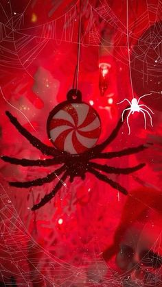 a spider hanging from a web with a candy cane in it's mouth