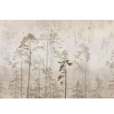 an image of trees in the foggy forest with birds flying above them on a white background