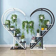 several potted plants are arranged on shelves in the shape of a heart, against a blue wall