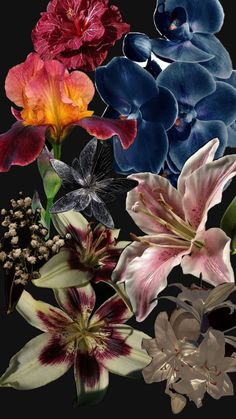 a bunch of flowers that are on a black background with one flower in the middle