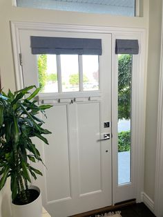 a potted plant sitting in front of a white door with blue blinds on it