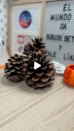 El mundo de Ca on Instagram: "Cómo preparar las piñas de pino para hacer decoraciones y manualidades en casa #piña #pino #manualidades #ideas #otoño #navidad #ideas #manualidadesfaciles" Ideas Para Navidad, Ideas Navideñas, Diy Decoracion, Diy Pinecone, Pine Cone Decorations, Instagram C, September 19, Pine Cones, Christmas