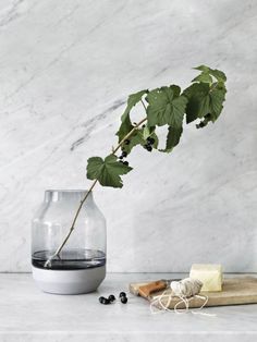 a plant in a glass vase on a marble countertop next to some cheese and crackers