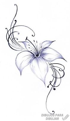 a drawing of a flower with swirls on it