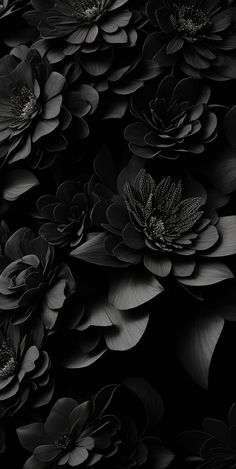 black and white photograph of large flowers