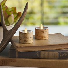 two candles sitting on top of books next to a deer antler