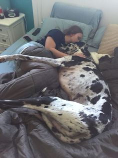 a woman laying in bed with her dog