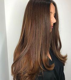 Hair Color Brown Chestnut, Brown Hair Trends, Natural Brown Hair, Golden Brown Hair, Chocolate Brown Hair Color, Medium Brown Hair, Chocolate Brown Hair