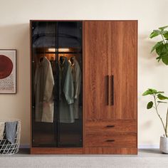 a closet with clothes hanging in it next to a potted plant