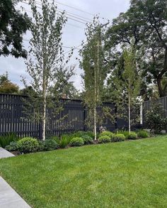 a black fence and some trees in the grass