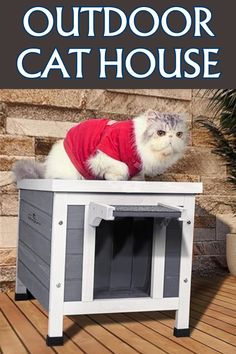 a cat in a red shirt is sitting on top of a small outdoor cat house