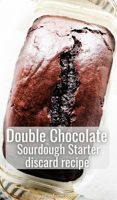 double chocolate sourdough starter recipe in a glass jar with text overlay that says double chocolate sourdough starter