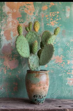 a cactus in a pot sitting on a wooden table next to a green painted wall